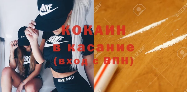 шишки Балабаново
