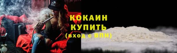 шишки Балабаново