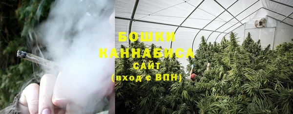 шишки Балабаново