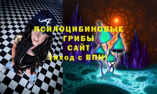 шишки Балабаново